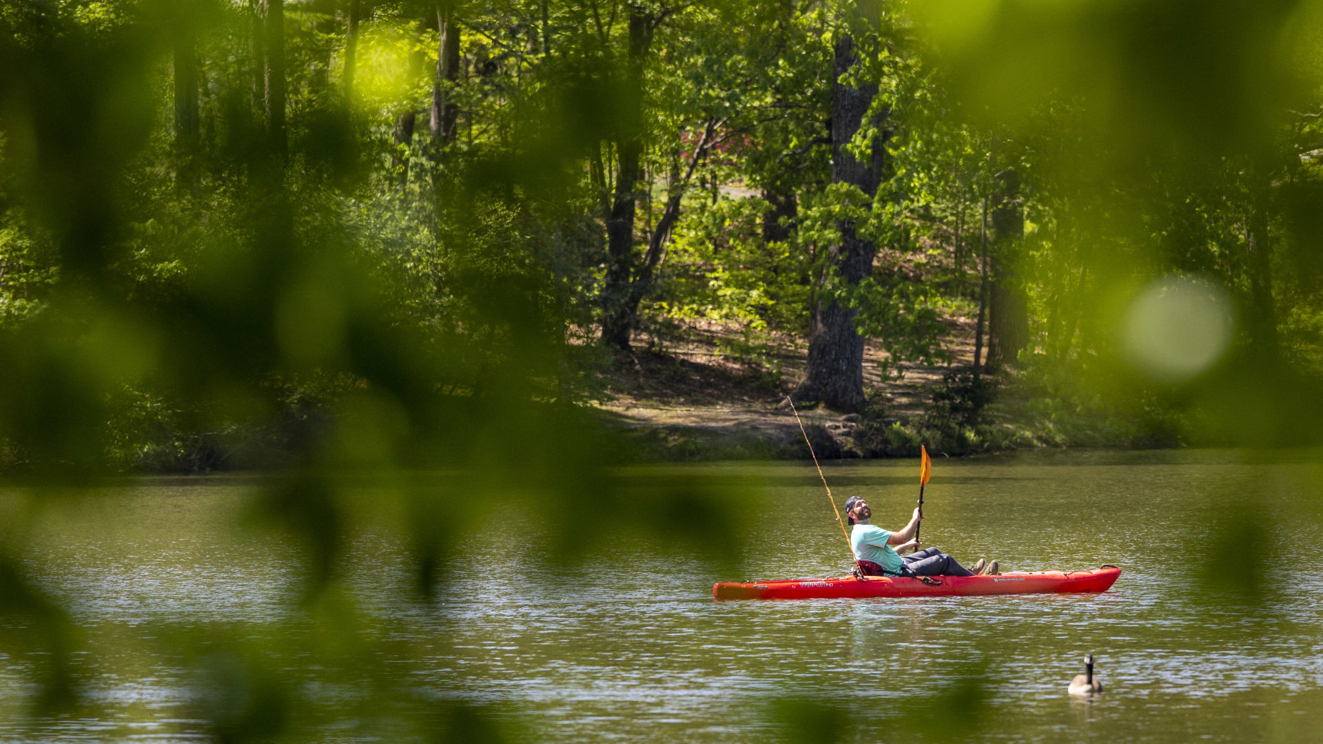 Kayker feature